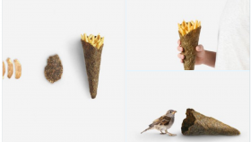 Итальянские дизайнеры создали нестандартную упаковку для картошки фри   